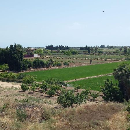 L'Hortet Del Iaio Camarles Bagian luar foto