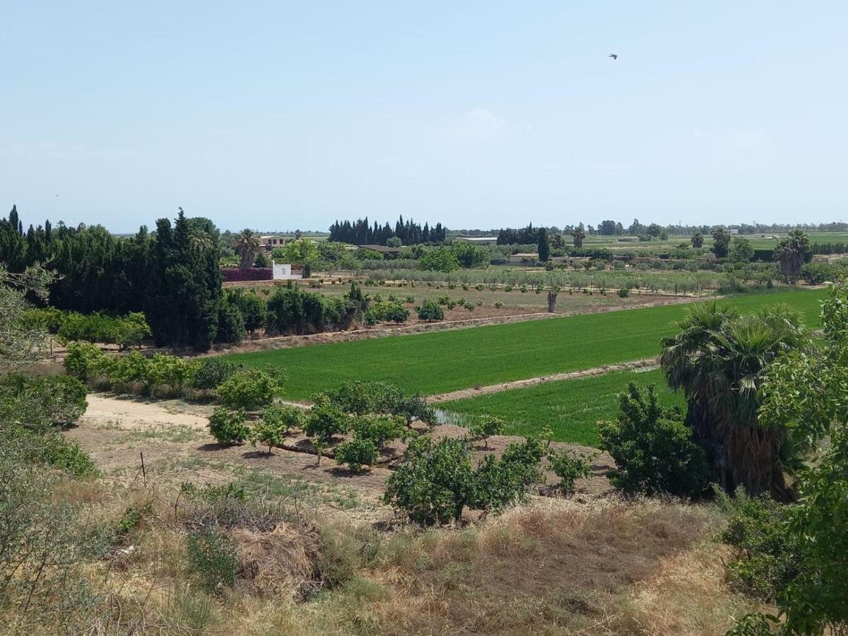 L'Hortet Del Iaio Camarles Bagian luar foto